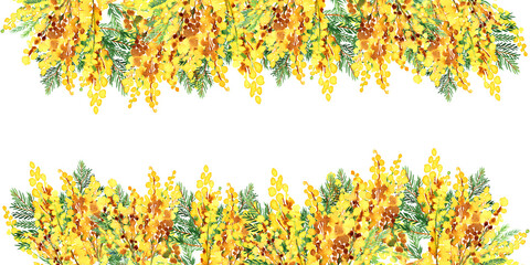 Watercolor yellow mimosa floral frames. Women's day flowers symbol. Spring yellow flowers  wreath. Mimosa twigs for greeting cards, web, posters