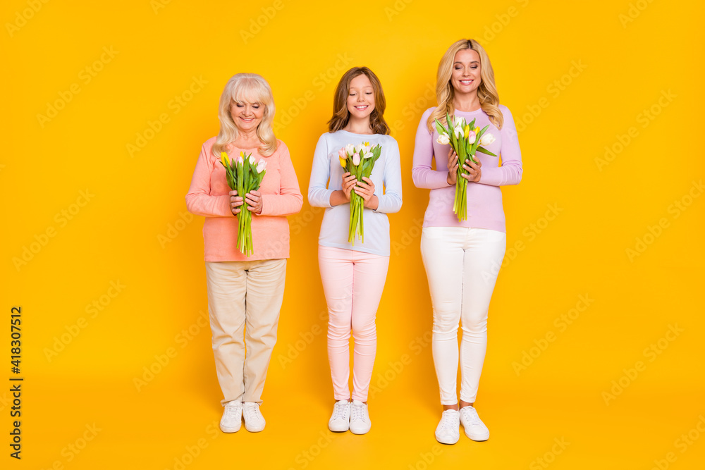 Sticker Full size photo of optimistic three woman grand mom daughter hold flowers wear pastel cloth isolated on yellow background