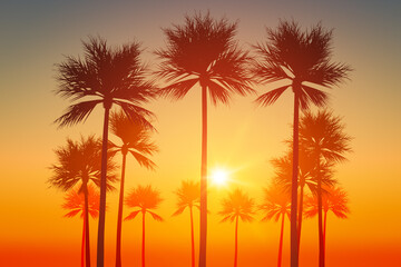 Fototapeta na wymiar palm trees sunset sky