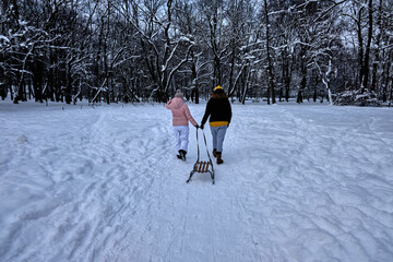 dwie dziewczyny prowadza sanki zima - obrazy, fototapety, plakaty