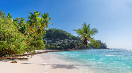 Fototapeta na wymiar Coco palms on Sunny tropical paradise beach Anse Takamaka beach on Seychelles. 