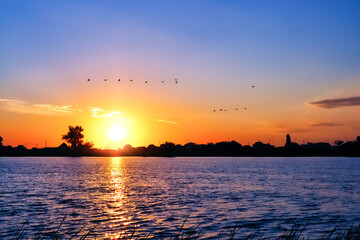 Fototapeta na wymiar Birds over the river at sunrise