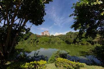 lake in the park, Alphaville, São Paulo, Brazil