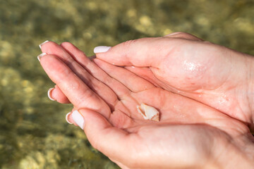 Small white seashell in woman's hand