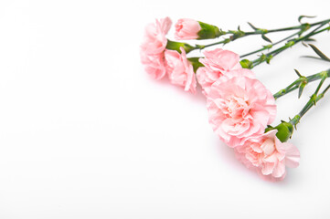 Fototapeta na wymiar Close up photo of a pink carnation bouquet isolated over white background