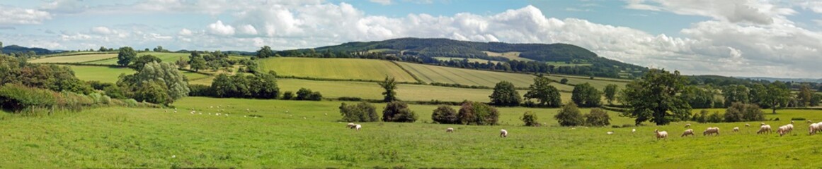 Fototapeta na wymiar Panoramic countryside scenery in the UK.