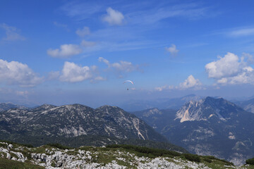 Fototapeta premium experienced parachutist flies in the right wind and drives a parachute around the Austrian Alps. Paratrooper with a white-blue parachute made of a special fiber. Dangerous sport. Around krippenstein