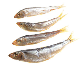 Smoked sprat isolated on white