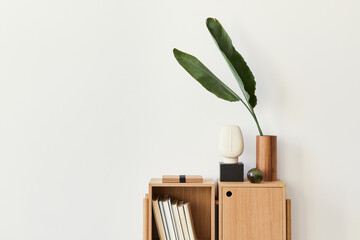 Modern composition of living room interior with design wooden bookcase, tropical leaf in vase,...