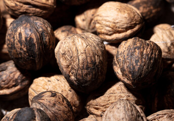 Fresh walnuts on drying as background.