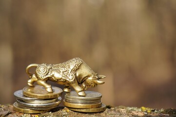 Fototapeta na wymiar Metal bull with coins close-up.