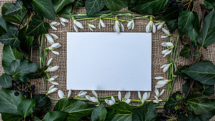 ivy decoration with white lettering paper