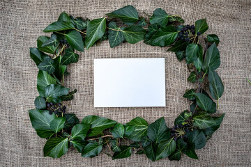 ivy decoration with white lettering paper