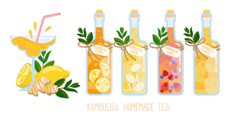Kombucha homemade fermented raw tea in glass bottles set. Cartoon flat illustration vector illustration