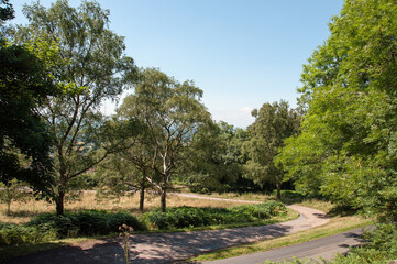 Fototapeta na wymiar Malvern hills landscape in the summertime.