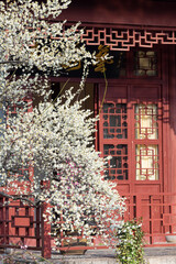 Spring plum blossoms and park scenery in East Lake Plum Garden in Wuhan, Hubei