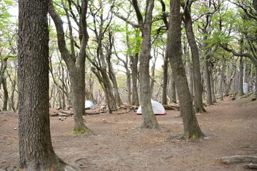 Mount Fitz Roy is a mountain located in Patagonia, on the border between Argentina and Chile. On the Argentine side it integrates the Los Glaciares national park, in the province of Santa Cruz.