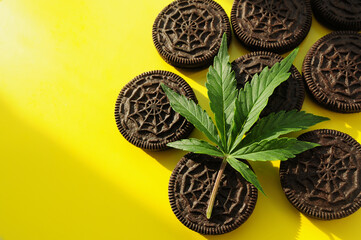 Marijuana  leaf and sweets on yellow background. Cannabis cookies close up illuminated by sunlight. Hemp recreation, canna kitchen, pastime.