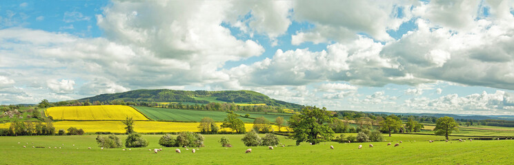 Fototapeta na wymiar Summertime landscape in the English countryside