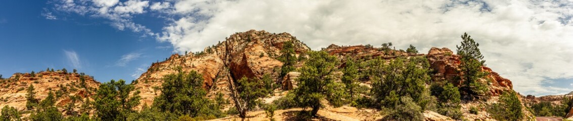 Panorama shot of sandstone hils with conifers against sky in Zion antional park at sunny day in Utah, america