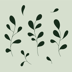 botanic fashion pattern