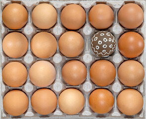 Easter eggs. Celebration Easter. Eggs in carton. Eggs in box. Healthy Farm Food in eco packaging. One colorful easter egg among the raw, unpainted eggs. Holiday easter decoration.