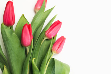 Bouquet of beautiful pink tulips on a white background