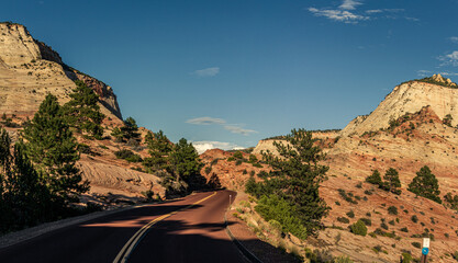 Red road with two yellow strips between stone hills with conifers in Zion national park in Utah, america