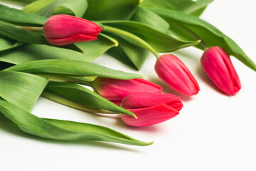 Bouquet of beautiful pink tulips on a white surface, selective focus