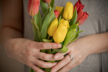 Close up woman hands holding bunch of tulip flowers