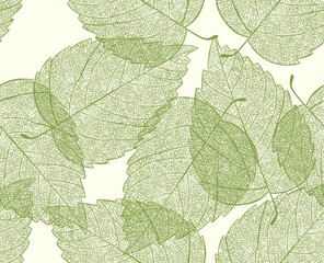 Naklejka na ściany i meble Seamless pattern with leaves. Heart-shaped leaves. illustration