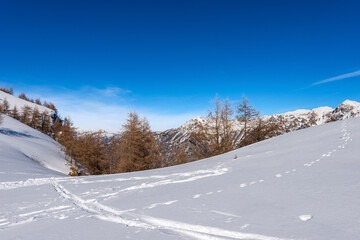 Mountain range of the Monte Carega in winter with snow, called Small Dolomites (Piccole Dolomiti) from the Lessinia Plateau (Altopiano della Lessinia). Veneto and Trentino Alto Adige, Italy, Europe.