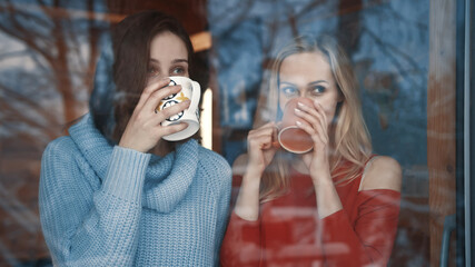 Young lesbian couple enjoying winter vacation. Looking through the window on snow covered neighborhood while drinking hot beverage. High quality photo