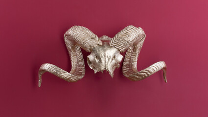 golden horns animal isolated on red background