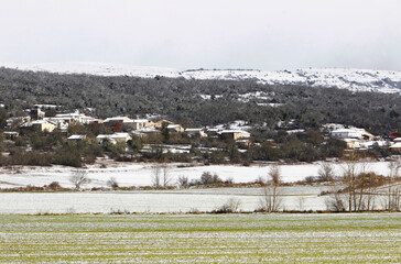 snow covered fields