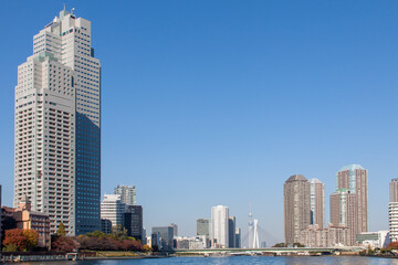 Fototapeta premium Tokyo Cityscape with the Sumida river against the blue sky