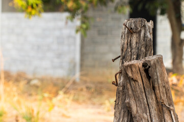 The wooden posts made a fence in the garden where nails were nailed and were long-lived.