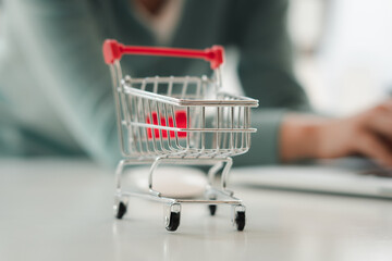 shopping cart in supermarket