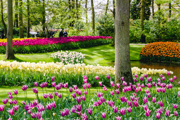 Blooming flowers in Spring Formal Garden.
