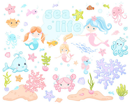 Sea life animals underwater colorful clipart vector illustration
