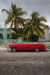 Old car on streets of Havana with beatiful palm trees in background. Cuba