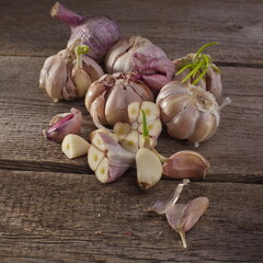 carrots, drawing, health, life, root, flavor, flavoring, growing, growth, seasoning, stem, taste, white, aromatic, beet, beetroot, garlic, green, healthy, herb, isolated, homegrown, leaf, lunch,