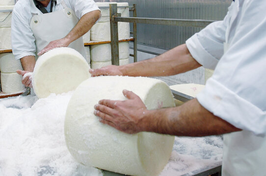production of pecorino romano cheese used for seasoning dishes such as pasta with cacio e pepe or amatriciana pasta. Salting of the pecorino romano or roman pecorino cheese