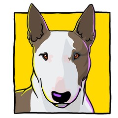 bullterrier