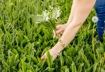 Foto auf Glas Woman picking white wild flowers Lily of the valley (Convallaria majalis) also called: May bells, Our Lady's tears and Mary's tears outdoors in meadow in springtime. © FotoHelin