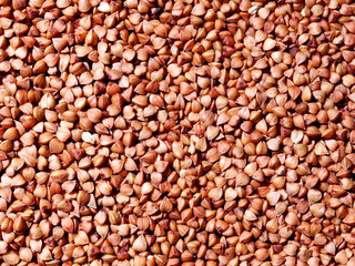 Uncooked Buckwheat, cooking concept, food background