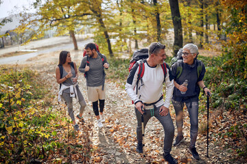 Group of hikers walking in forest