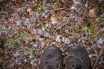 Fototapeta na wymiar Legs in brown boots standing on the snowy ground in the forest. On open air. The first snow in the park.