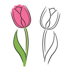Tulip flower line continuous . Minimalist art. Set of colorful and black line illustration