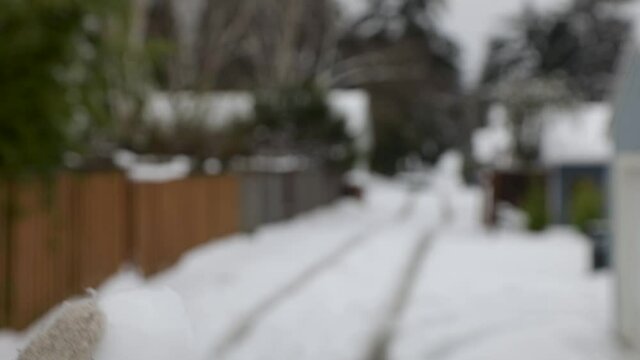 Slow motion shot of person with gloves throwing snowball in the air and catching. Close up with bokeh effect.